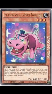 Performapal Hip Hippo
