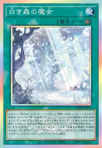 COMPLETE FILE -Seeker of Sinful Spoils- [OCG]